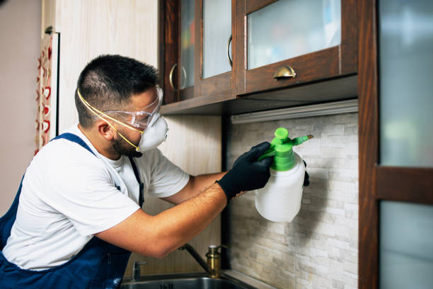Best Bed Bug Extermination  in Laware City, DE